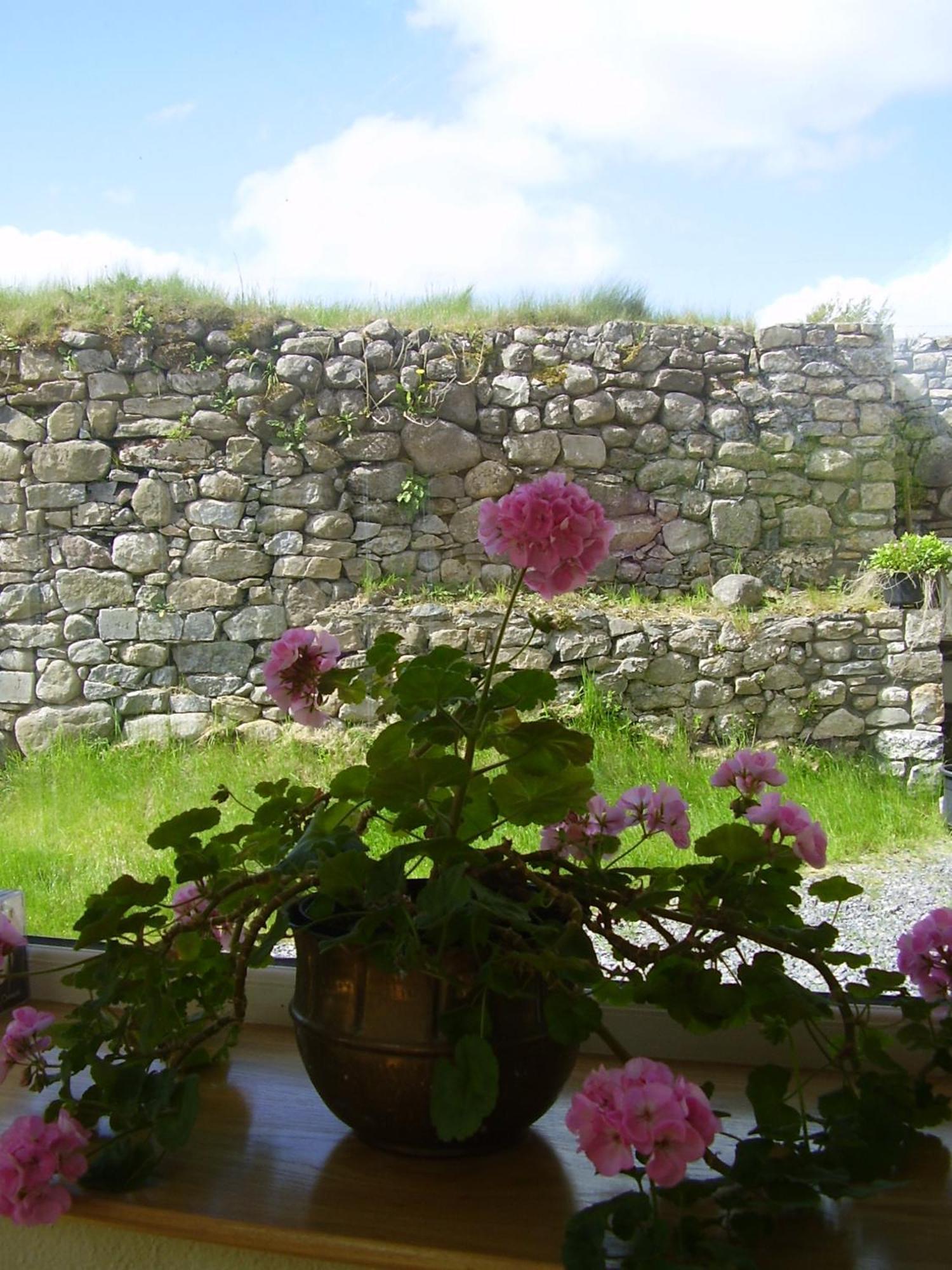 Glenboy Country Accommodation Oldcastle Bagian luar foto