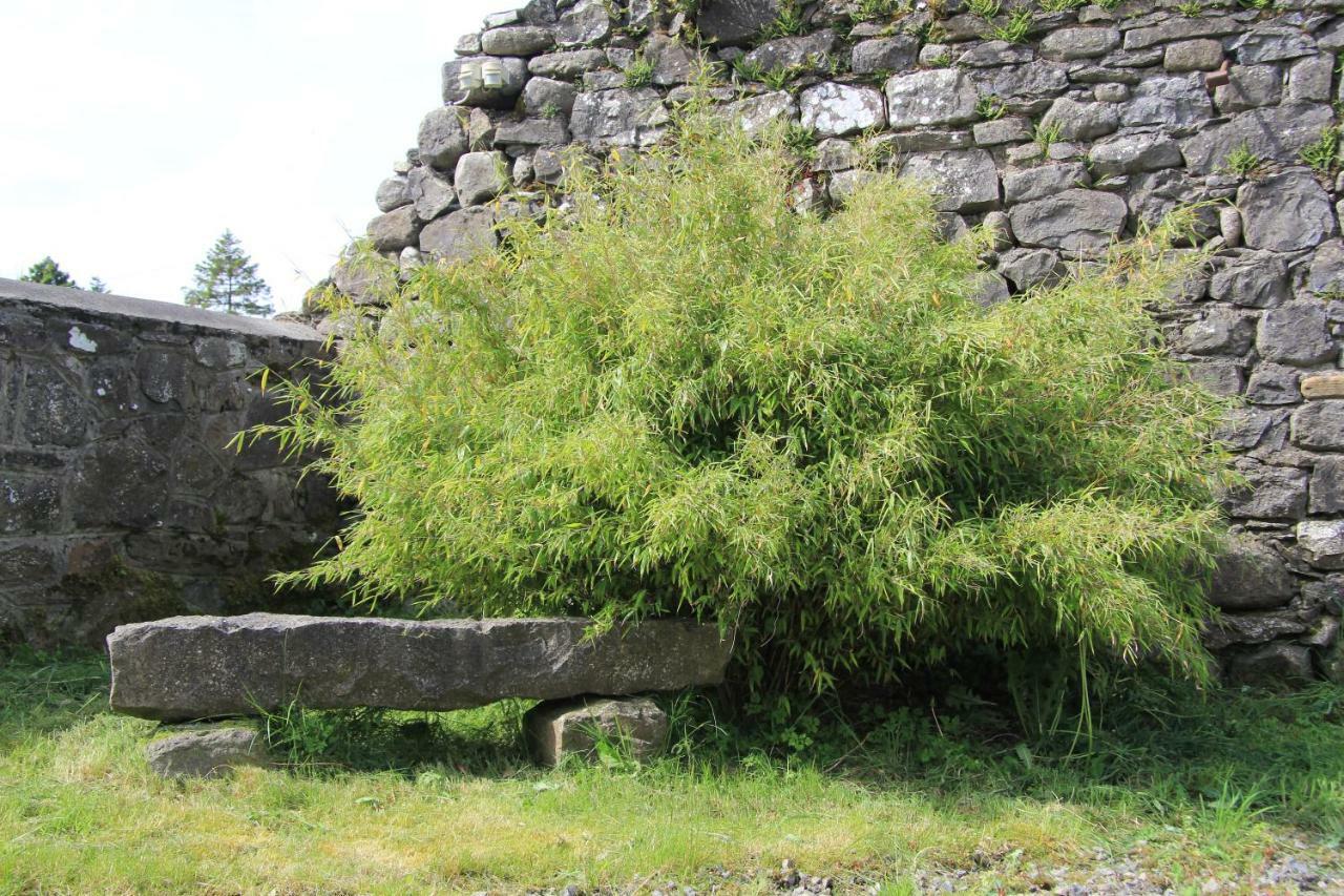 Glenboy Country Accommodation Oldcastle Bagian luar foto